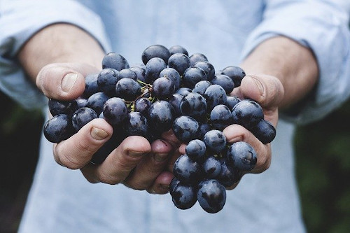 Angina foods to eat: Image of man holding a bunch of grapes in his hands.