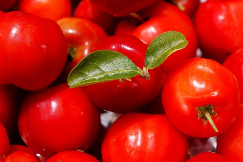Immune system boosting foods: Image of acerola cherries.