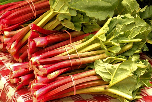Gallbladder diet food list: Image of market fresh rhubarb