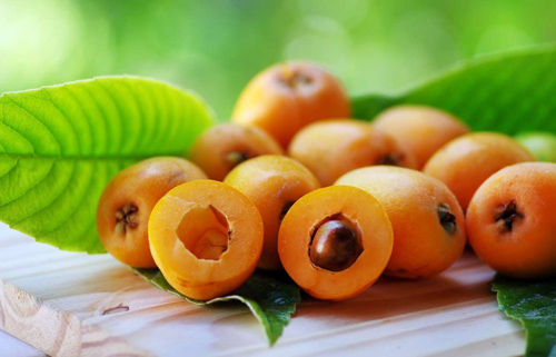 loquat fruit benefits