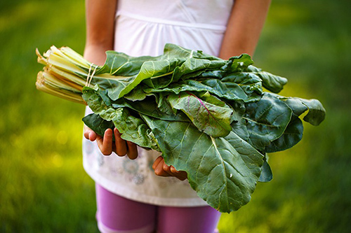 someone holding a bunch of green leafy vegetables