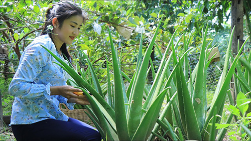 woman sitting in front of aloe vera plant