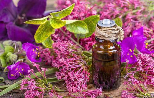 what does sage essential oil do
