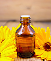 bottle of calendula oil with the flowers in the background