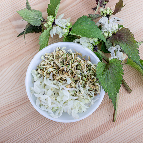 dead nettle flowers and herbs in a bowl
