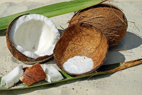 The best foods for osteoporosis: Image of cracked open coconut.