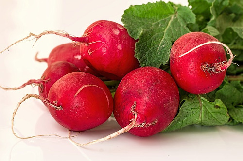 Image of radish roots.