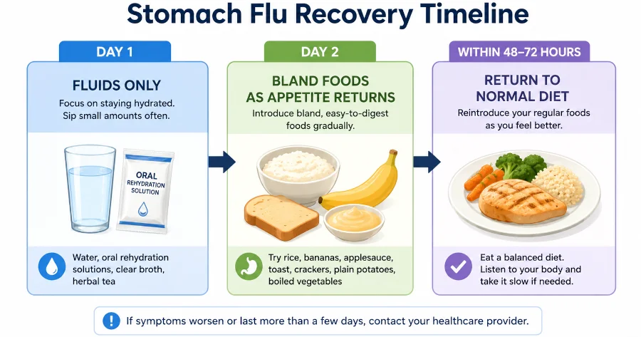 Three-stage timeline of stomach flu recovery: fluids only on day one, bland foods as appetite returns, normal diet within 48–72 hours.