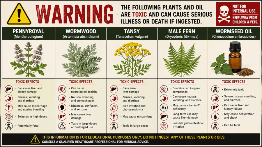 Warning chart listing pennyroyal, wormwood, tansy, male fern, and wormseed oil and their toxic effects.