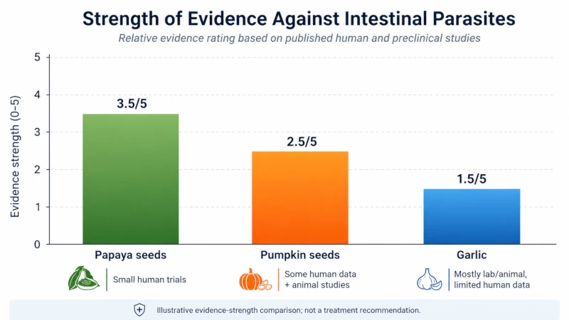 Bar chart comparing strength of evidence for pumpkin seeds, papaya seeds, and garlic against intestinal parasites.