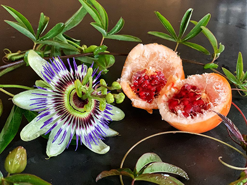 passion flower fruit