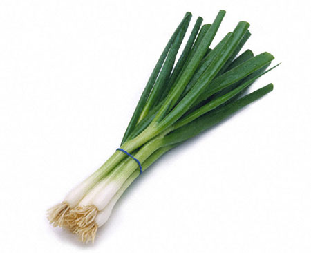 welsh onion