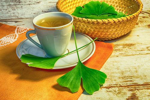 ginkgo biloba benefits