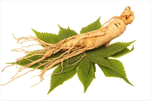 ginseng health benefits