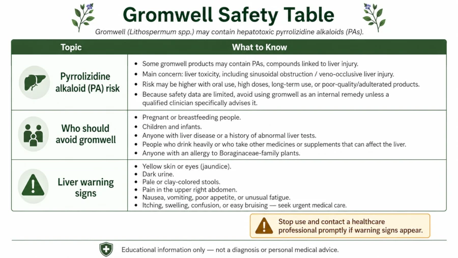 Safety table showing pyrrolizidine alkaloid risk, groups who should avoid gromwell, and liver warning signs.