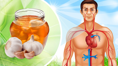 Benefits of garlic water