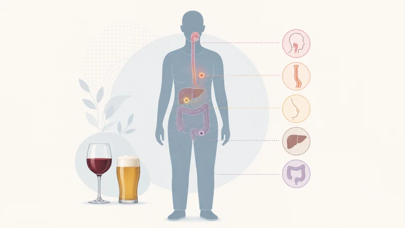 Medical illustration showing body regions associated with alcohol-related cancers