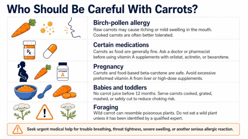 Table summarizing who should be cautious with carrots: allergy, medication interactions, pregnancy, infants, and foraging.