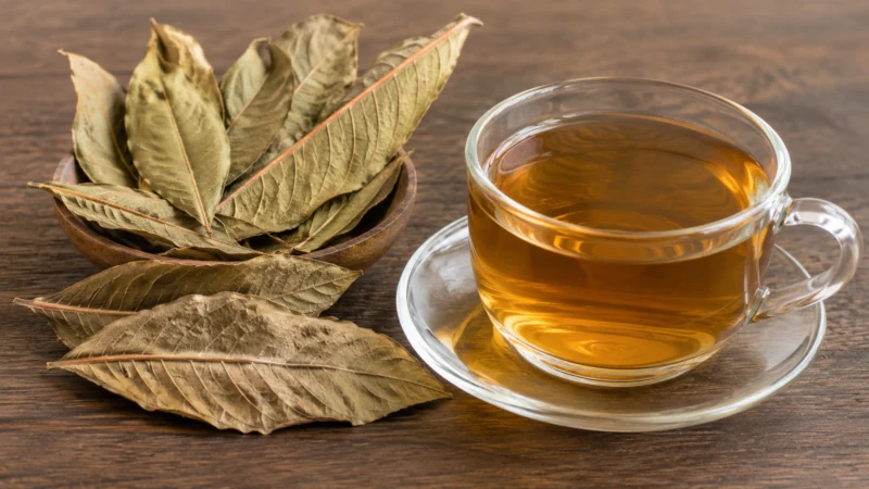 Cup of dried loquat leaf tea next to whole dried leaves