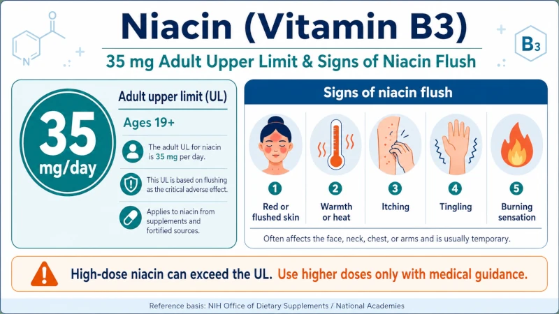 Infographic showing the 35 mg adult upper limit for niacin and signs of niacin flush.