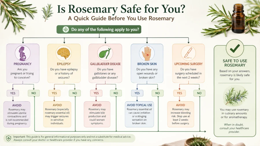 Flowchart guiding readers through pregnancy, epilepsy, gallbladder disease, broken skin and upcoming surgery before using rosemary