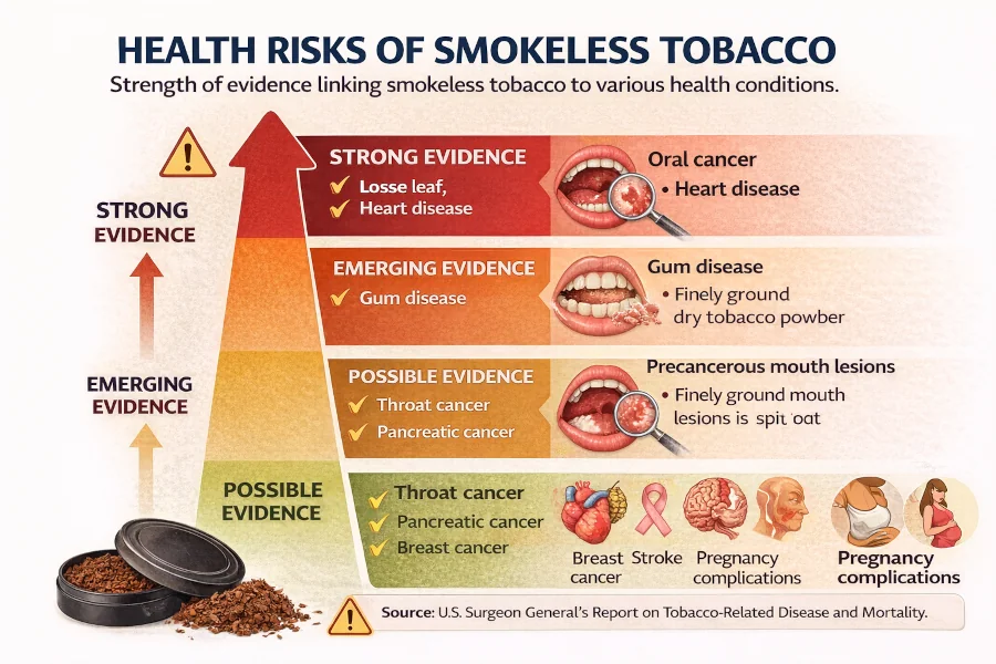 Infographic showing strength of evidence linking smokeless tobacco to oral cancer, heart disease, and other conditions.