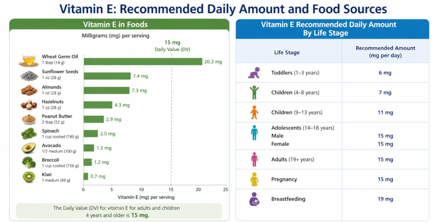Vitamin E-rich foods recommended daily amount by life stage, from 6 mg for toddlers to 19 mg while breastfeeding.