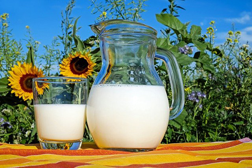 Great big pitcher of milk along with a half full glass of milk