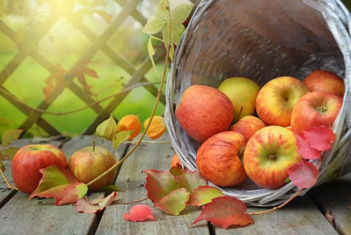 Bucket of apples