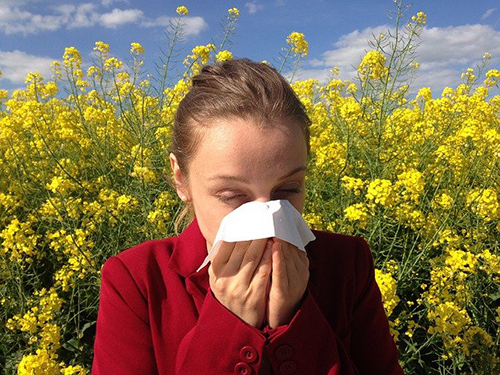 woman in red shirt blowing her nose due to allergies with yellow flowers in the background