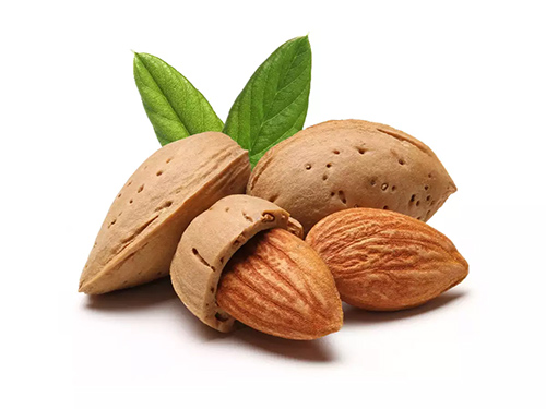 Almonds shelled and ready to eat