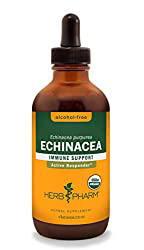 Echinacea is excellent for CFS