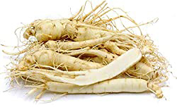 ginseng root for chronic fatigue syndrome