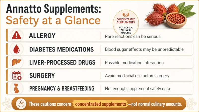 Annatto supplement safety infographic covering allergies, blood sugar medications, drug interactions, surgery, and pregnancy.