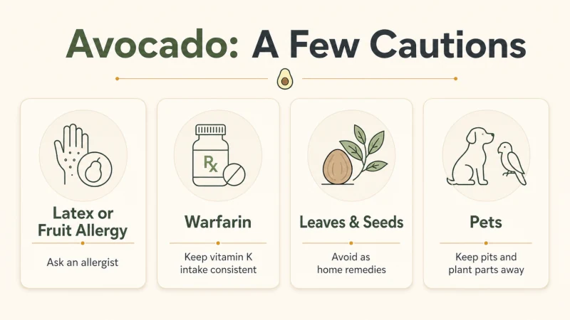 Avocado safety infographic covering allergies, warfarin, leaves and seeds, and pets