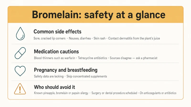 Bromelain safety summary showing common side effects, medication cautions involving blood thinners and tetracycline antibiotics, pregnancy guidance, and groups who should use extra caution.