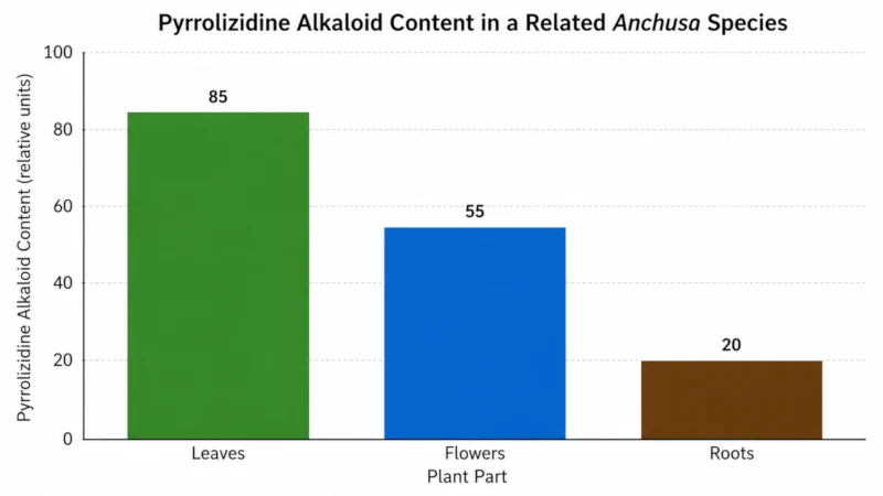 Bar chart showing pyrrolizidine alkaloid content highest in leaves, then flowers, lowest in roots of a related Anchusa species