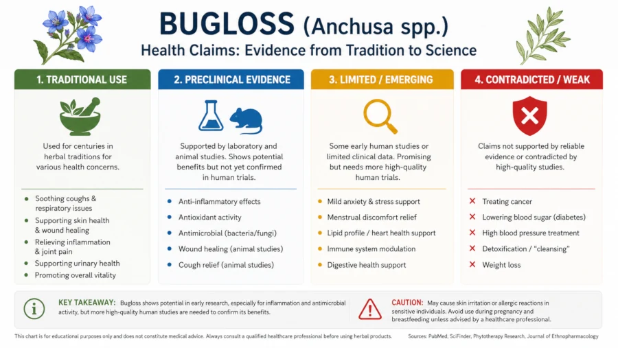 Chart grading bugloss health claims from traditional use to preclinical to contradicted by evidence