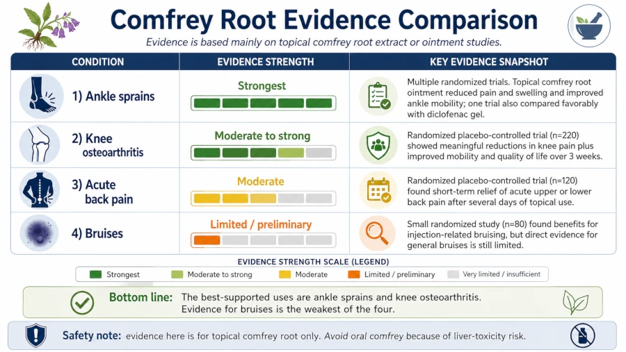 Chart comparing comfrey root evidence for knee osteoarthritis, back pain, ankle sprains, and bruises.