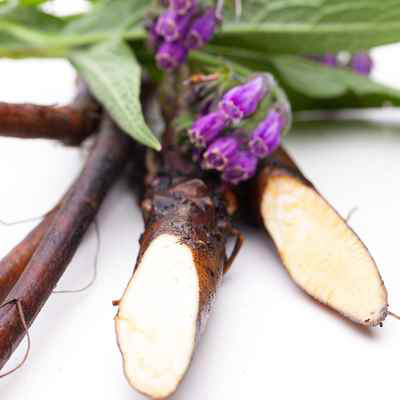 Comfrey root great for skin conditions
