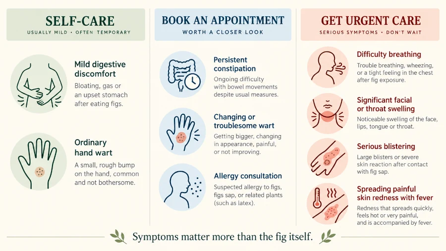 Three-level guide showing when fig-related symptoms may need self-care, a medical appointment or urgent care