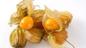 ground cherry recipes