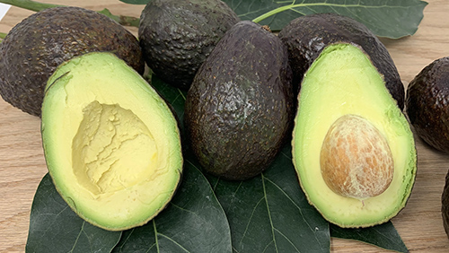 avocado oil is very healthy for the skin