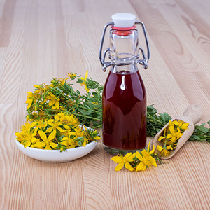 St. John's wort plant with a bottle of tea