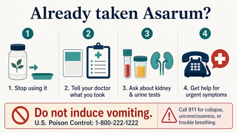 Safety infographic explaining what to do after taking Asarum plant, including stopping use, contacting a doctor, discussing kidney testing, and seeking urgent help for serious symptoms.