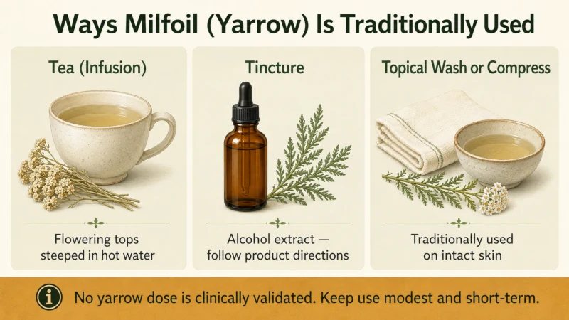Infographic comparing traditional yarrow tea tincture and topical wash preparations