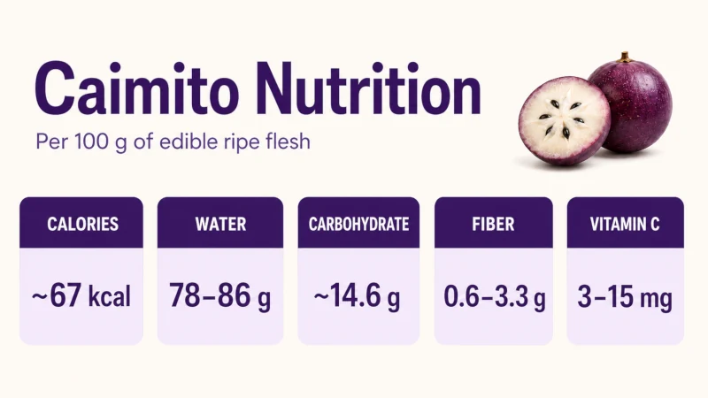 Caimito nutrition infographic showing calories, carbohydrates, fiber, water, and vitamin C per 100 grams.