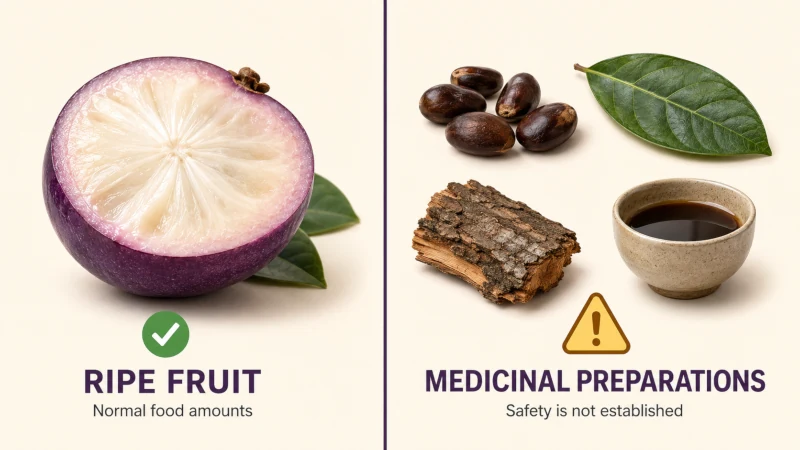 Caimito safety illustration contrasting ripe edible fruit with seeds, leaves, bark, and concentrated plant preparations to avoid using medicinally.