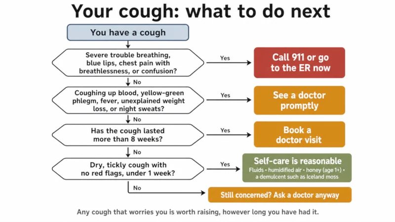 Decision tree for a cough showing when to call 911, when to see a doctor promptly, when to book a visit for a cough over eight weeks, and when self-care is reasonable.