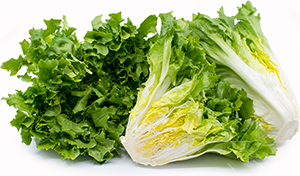 escarole health benefits